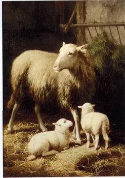 unknow artist Sheep 057 China oil painting art